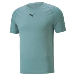 Puma Men's Formknit Seamless Training T-Shirt Mineral Blue -Guin Sales Store 521556 50