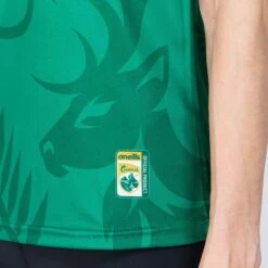 Kerry GAA Women's Fit Home Jersey 2022 12 Kerry GAA Women's Fit Home Jersey 2022 -Guin Sales Store am3a0759