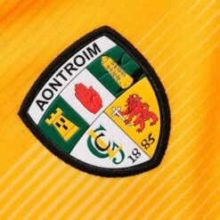 Antrim GAA Home Jersey 2023 16 Antrim GAA Home Jersey 2023 -Guin Sales Store antrim home jersey 3s amb whi adlt p3