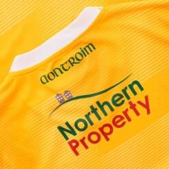 Antrim GAA Women's Fit Home Jersey 2023 -Guin Sales Store antrim home jersey 3s amb whi adlt p6 3