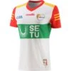 Carlow GAA Women's Fit Goalkeeper Jersey 2022 -Guin Sales Store carlow gk jersey 22 wmns 3s 1