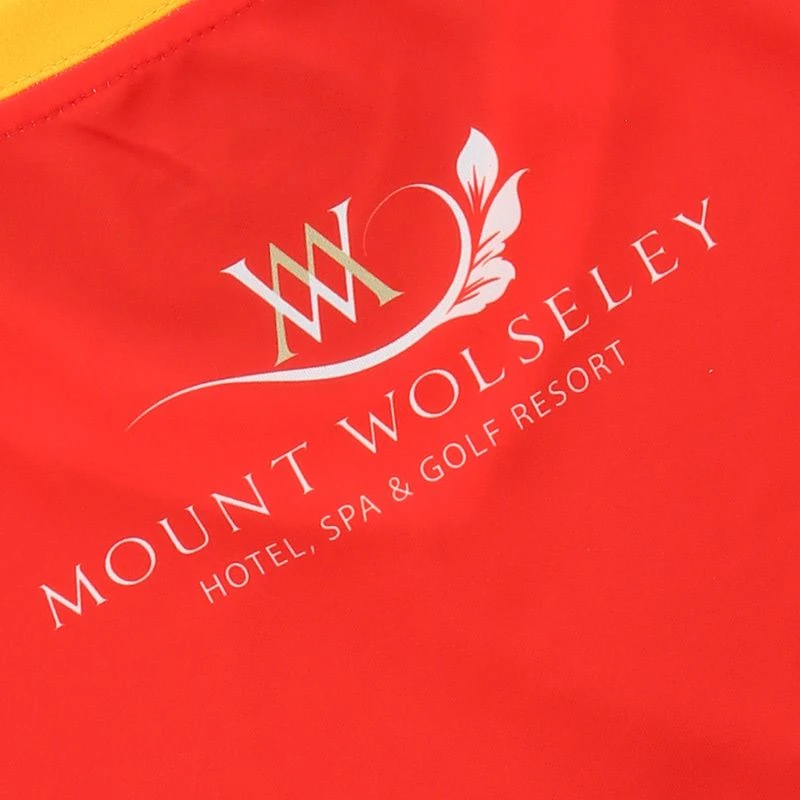 Carlow GAA Women's Fit Home Jersey 2022 7 Carlow GAA Women's Fit Home Jersey 2022 - Image 5