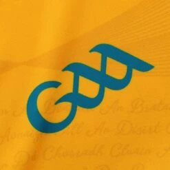 Clare GAA Women's Fit Home Jersey 2023 15 Clare GAA Women's Fit Home Jersey 2023 -Guin Sales Store clare home jersey amber roy wht 3s p 5 3 1