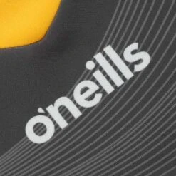 Clare GAA Women's Fit Goalkeeper Jersey 2023 -Guin Sales Store clare gk jersey grey 3s tf 23 adlt p6 1