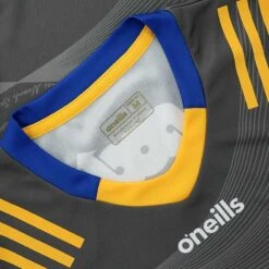 Clare GAA Player Fit Goalkeeper Jersey 2023 -Guin Sales Store clare gk jersey grey 3s tf 23 adlt p7