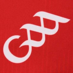 Cork GAA Home Jersey 2023 16 Cork GAA Home Jersey 2023 -Guin Sales Store cork home jersey tf 3s red whi adlt p5