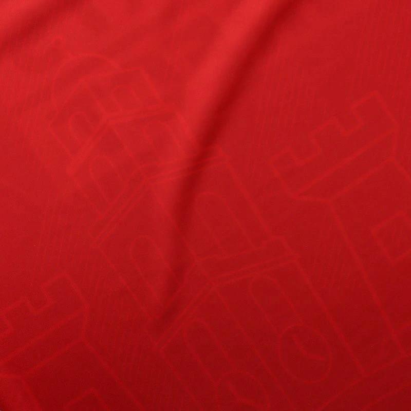 Cork GAA Home Jersey 2023 10 Cork GAA Home Jersey 2023 - Image 8