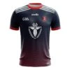 Dunsany GAA Women's Fit Jersey Navy -Guin Sales Store dun122361 1 2