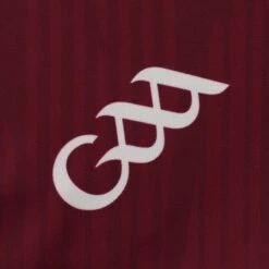Galway GAA Home Jersey 2023 19 Galway GAA Home Jersey 2023 -Guin Sales Store galway home jersey maroon wht p 5 8