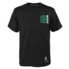 Men's Boston Celtics Tatum T-Shirt Black / White / Green -Guin Sales Store k2m1feyd 000 celjt jayson tatum celtics f1