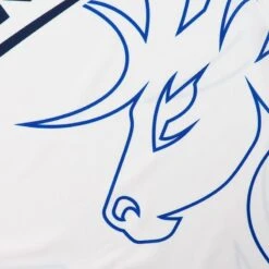 Kerry GAA Women's Away Goalkeeper Jersey 2023 -Guin Sales Store kerry alt gk jersey 2023 wht mar roy 3s tf p9 1