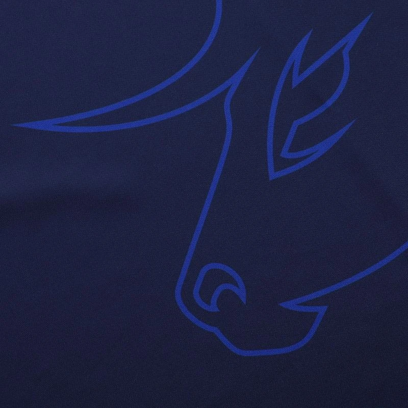 Kerry GAA Away Jersey 2023 9 Kerry GAA Away Jersey 2023 - Image 7