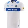Laois GAA Goalkeeper Jersey 2023 -Guin Sales Store laois gk jesey 3s whi roy adlt p1
