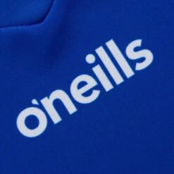 Laois GAA Home Jersey 2023 18 Laois GAA Home Jersey 2023 -Guin Sales Store laois home jersey 3s roy whi p7