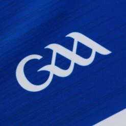 Laois GAA Women's Fit Home Jersey 2023 -Guin Sales Store laois home jersey 3s roy whi p9 3