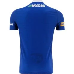 Laois GAA Player Fit Home Jersey 2023 -Guin Sales Store laois home jersey tf 3s roy whi p2